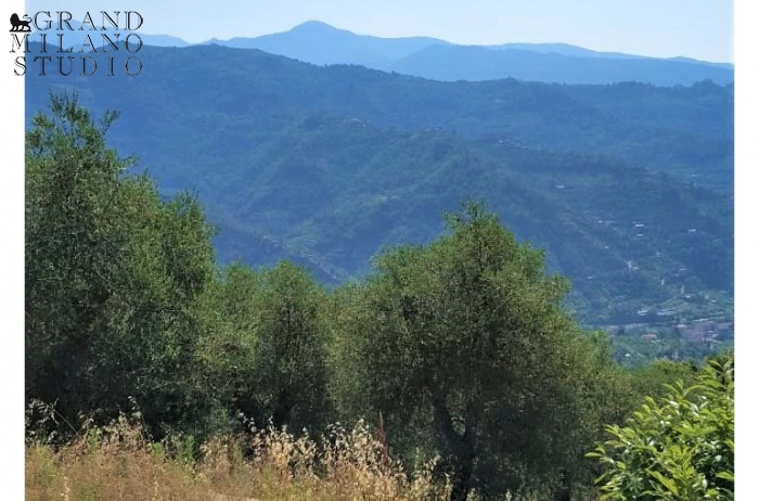 DOK115. Villa con vista panoramica sulle montagne Liguri di Dolceacqua