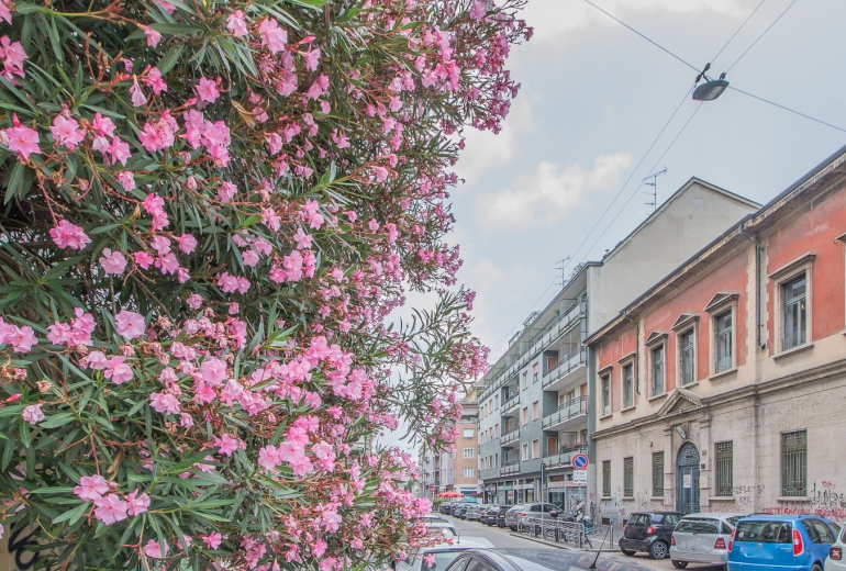 DYK017. Bilocale con ampio balcone al piano alto nelle perfette condizioni