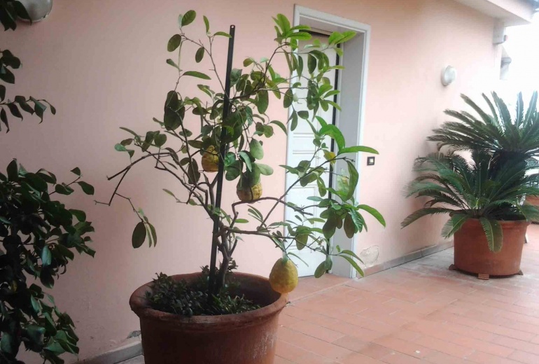 DIK235 Sanremo. Villa in prima linea con grande giardino