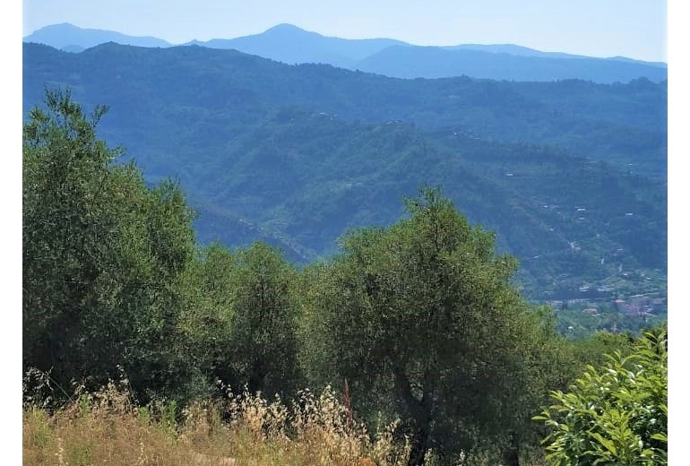 DOK115. Villa con vista panoramica sulle montagne Liguri di Dolceacqua